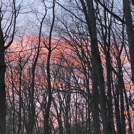 The Sanctuary At Deer Dune , Saugatuck Exteriör bild
