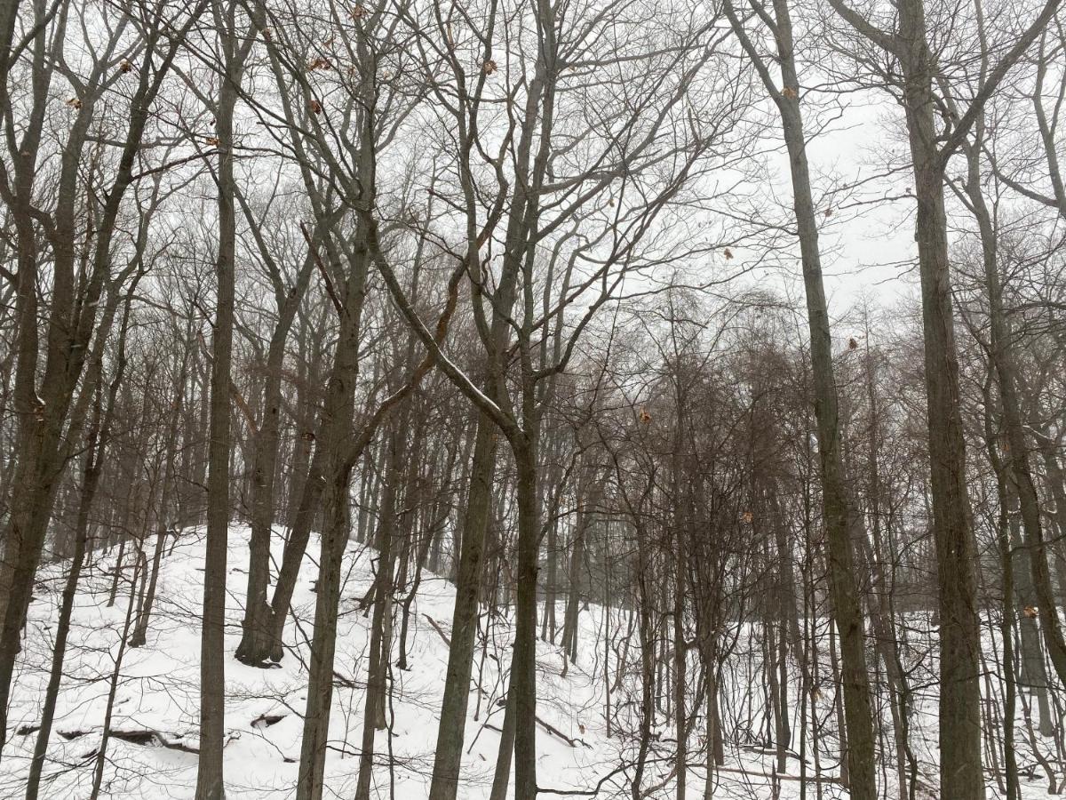 The Sanctuary At Deer Dune , Saugatuck Exteriör bild
