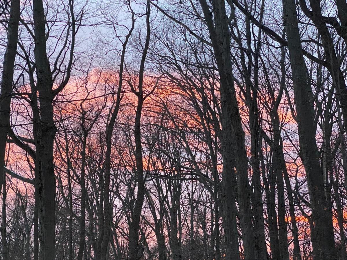 The Sanctuary At Deer Dune , Saugatuck Exteriör bild